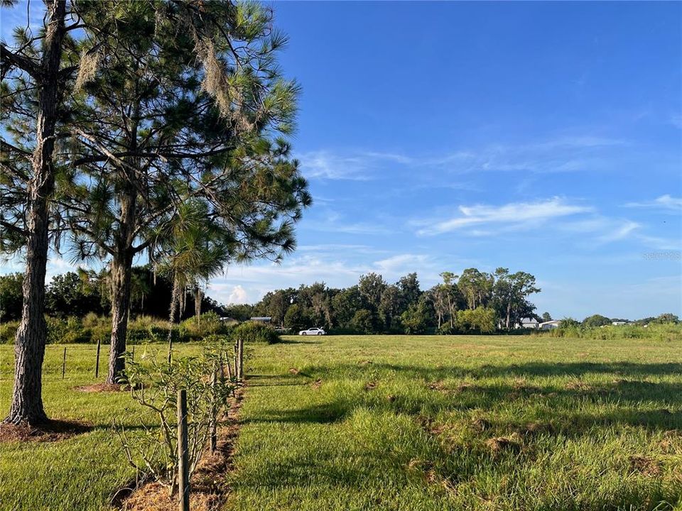 待售: $119,000 (1.01 acres)