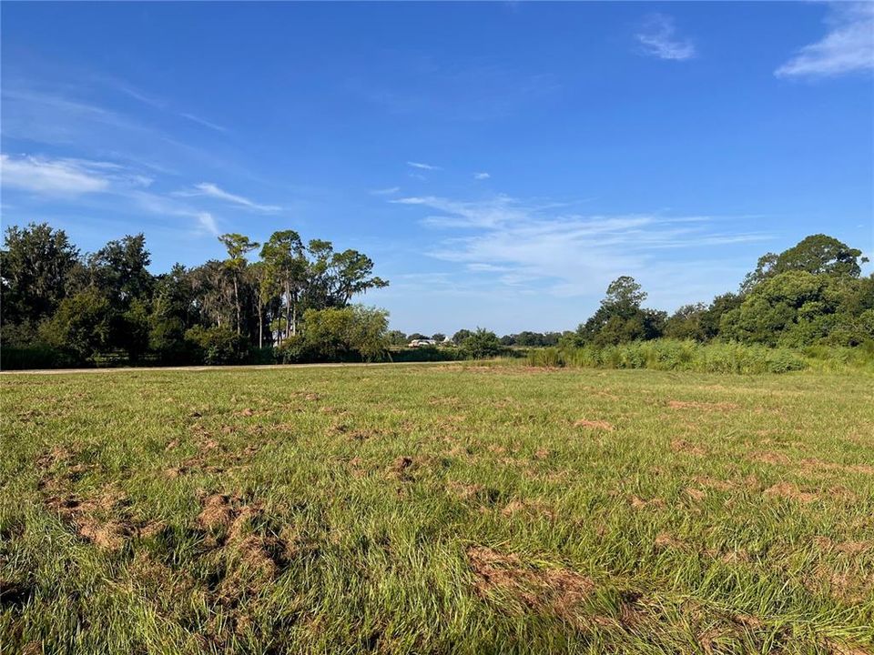 For Sale: $119,000 (1.01 acres)