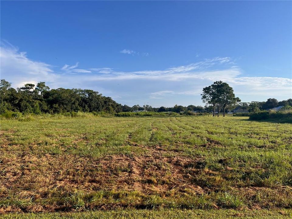 En Venta: $119,000 (1.01 acres)