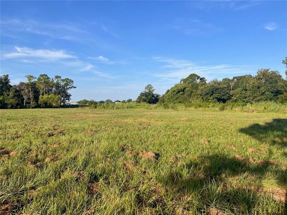 For Sale: $119,000 (1.01 acres)