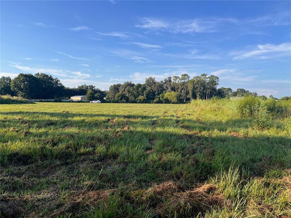 For Sale: $119,000 (1.01 acres)