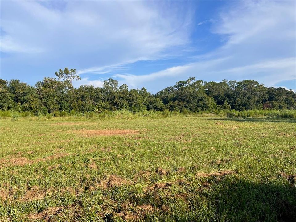 На продажу: $119,000 (1.01 acres)