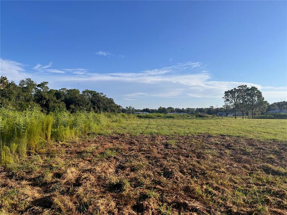 For Sale: $119,000 (1.01 acres)