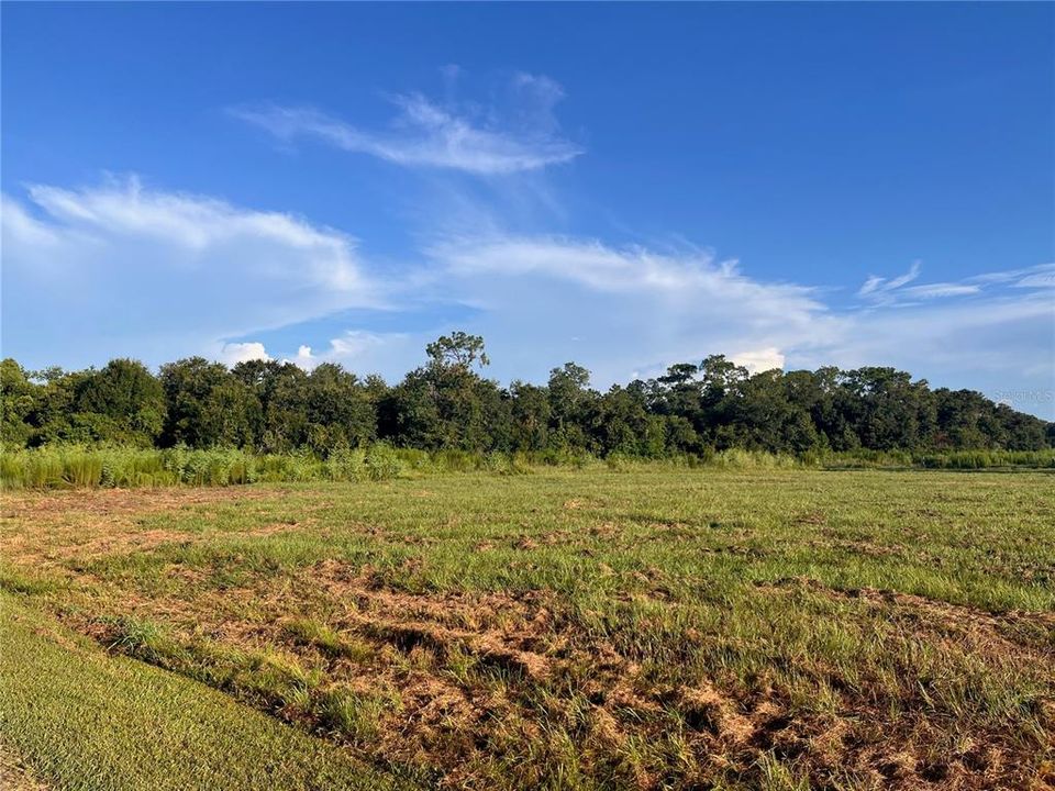 待售: $119,000 (1.01 acres)