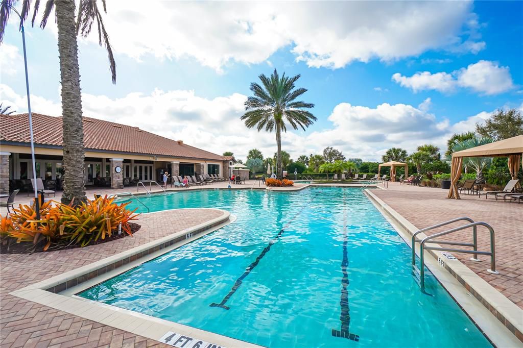 Amenity Center Pool