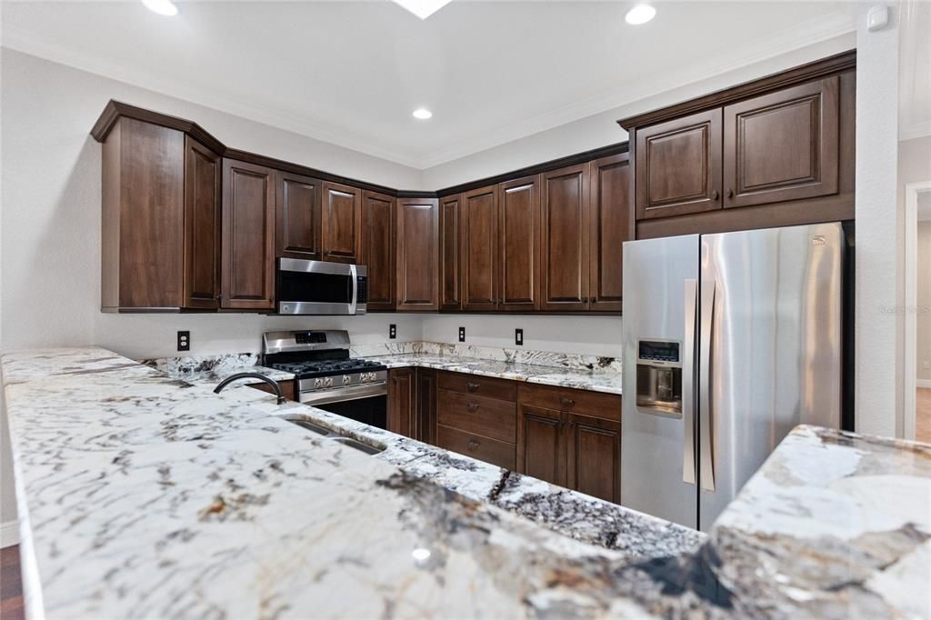 Chef's kitchen with exotic granite counters