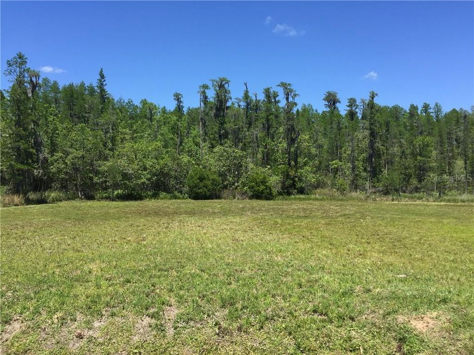 Active With Contract: $129,000 (1.03 acres)