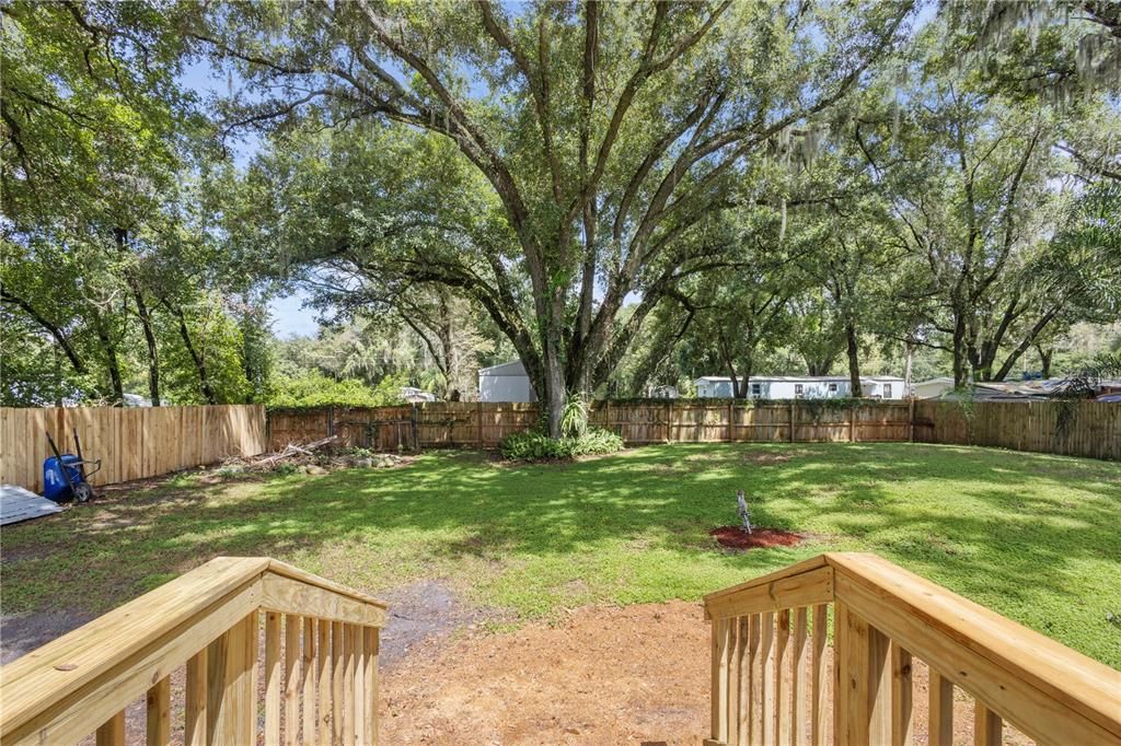 VIEW OFF THE BACK PORCH