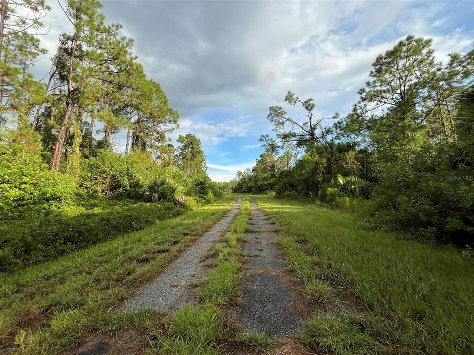 Active With Contract: $10,000 (0.22 acres)