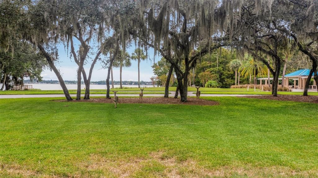 Access to Lake Tarpon at Lake Front Park, exclusive to residents of Lansbrook