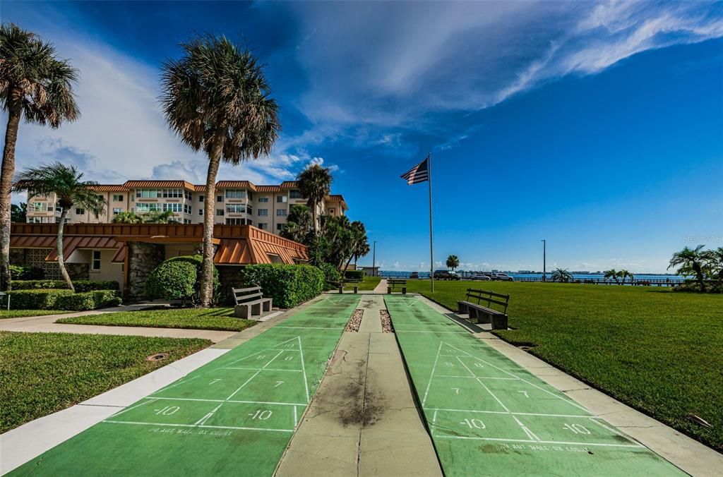 Community Shuffleboard