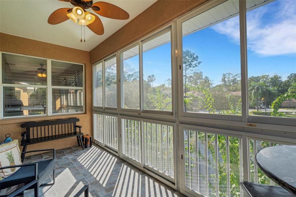 Enclosed lanai with screens