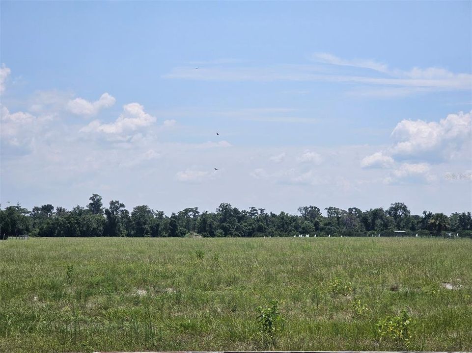 For Sale: $170,000 (5.00 acres)