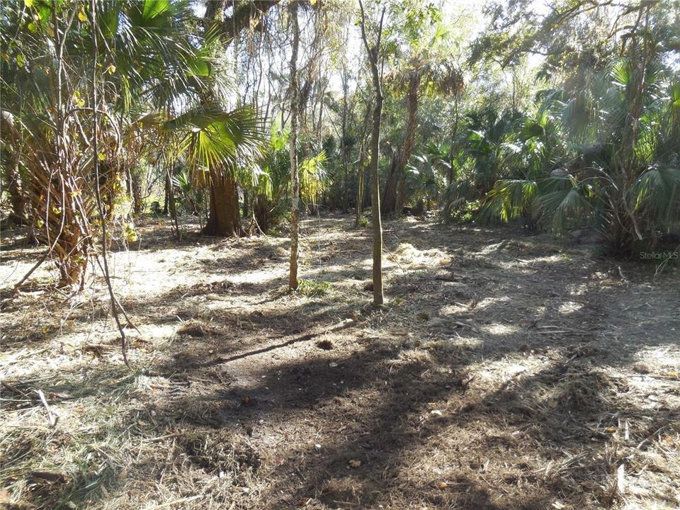 En Venta: $175,000 (5.01 acres)