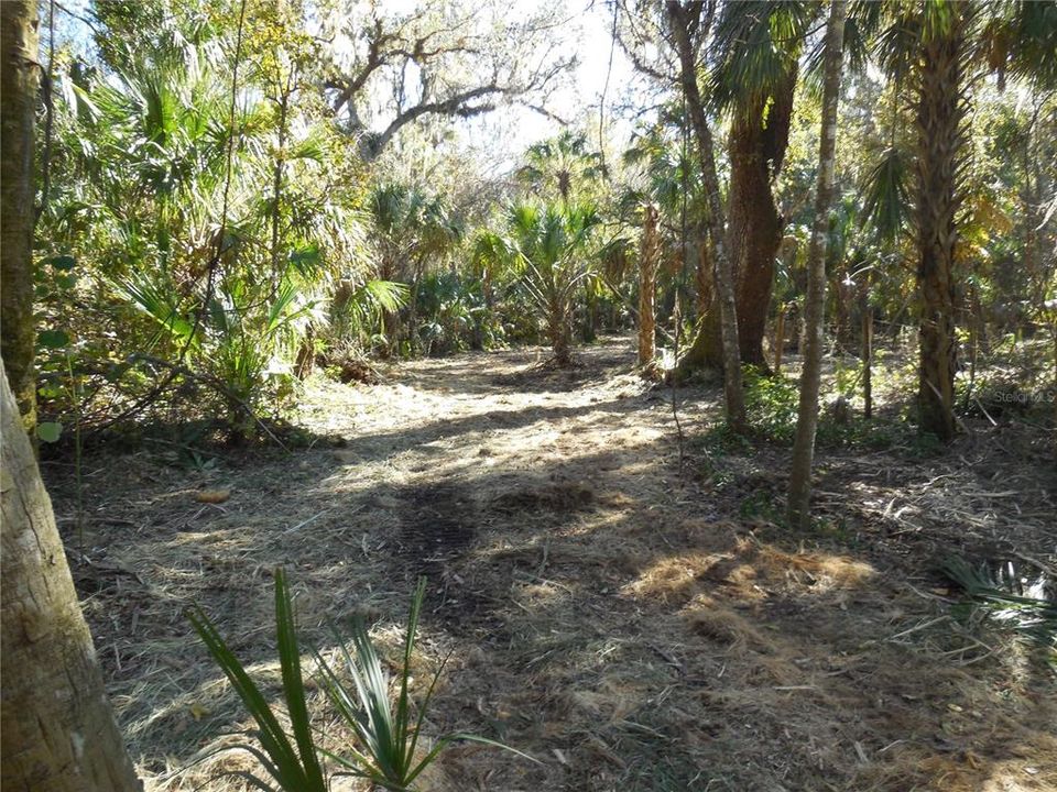 En Venta: $175,000 (5.01 acres)