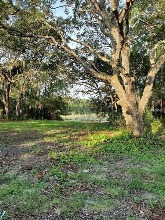 En Venta: $99,000 (2.06 acres)