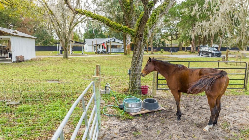 En Venta: $887,000 (5 camas, 3 baños, 2468 Pies cuadrados)