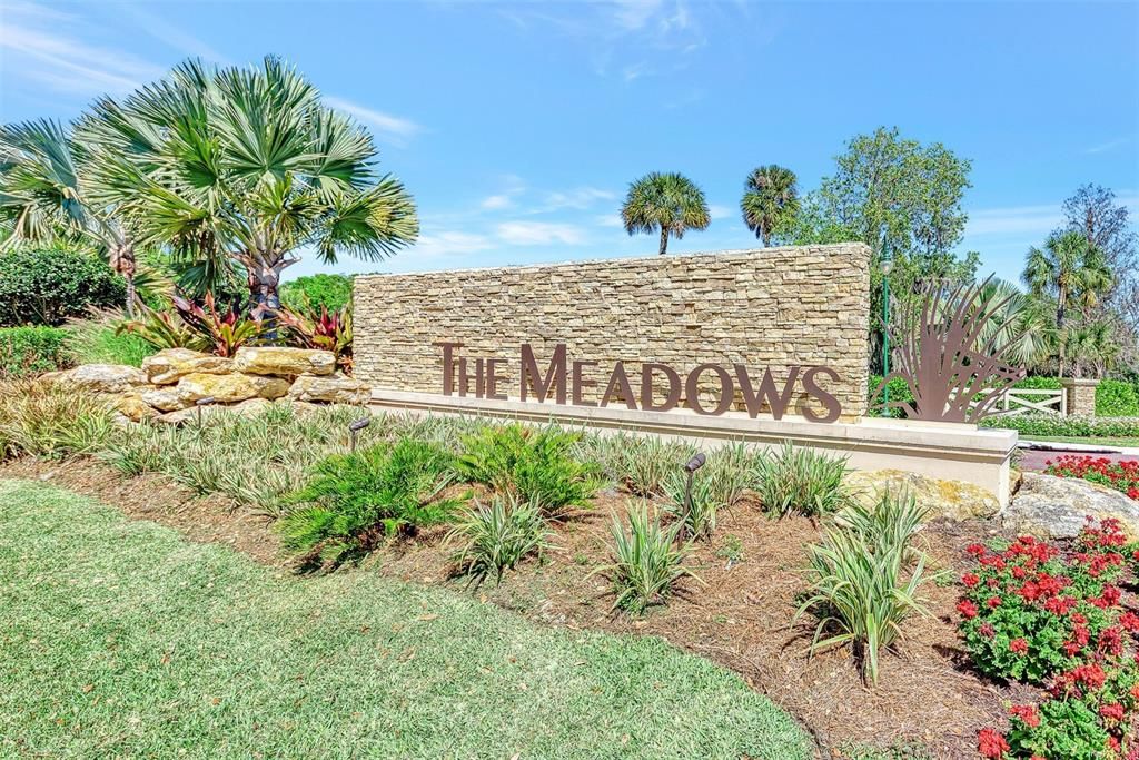 The Meadows Community