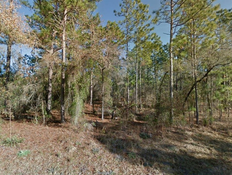 На продажу: $60,000 (1.25 acres)