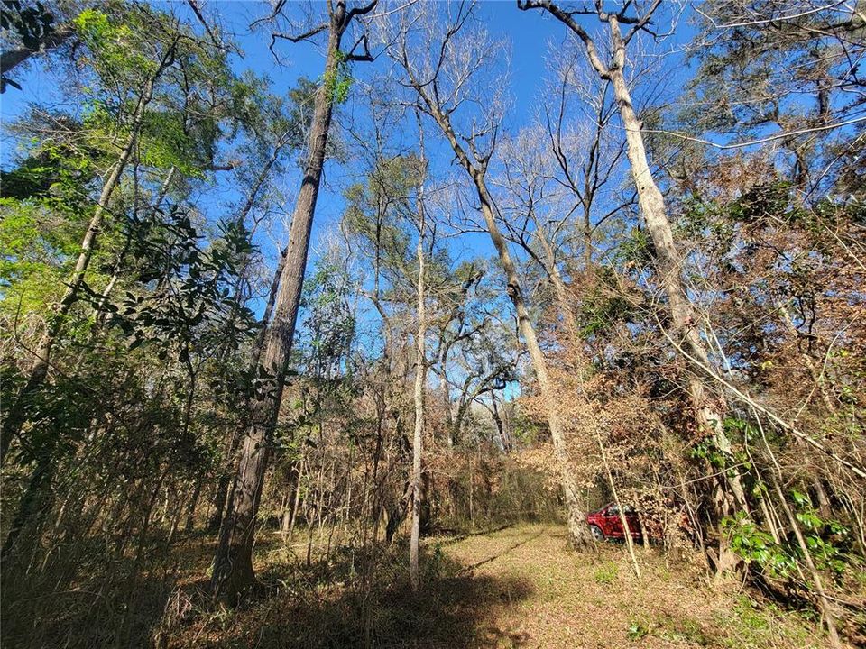 En Venta: $46,900 (0.92 acres)