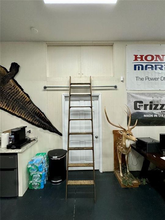 Ladder to Loft Storage