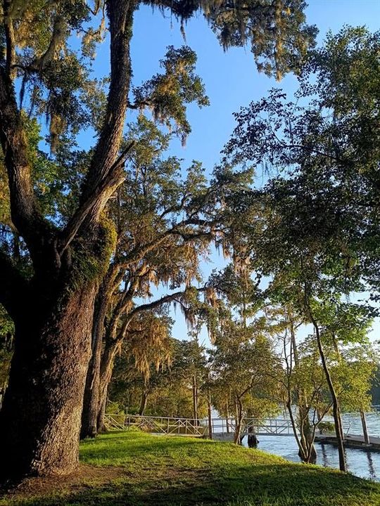 Purvis landing boat ramp