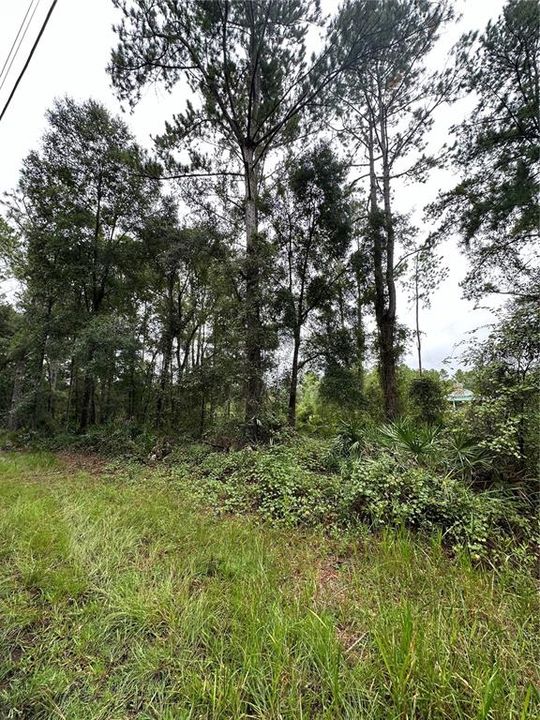 En Venta: $8,000 (0.25 acres)