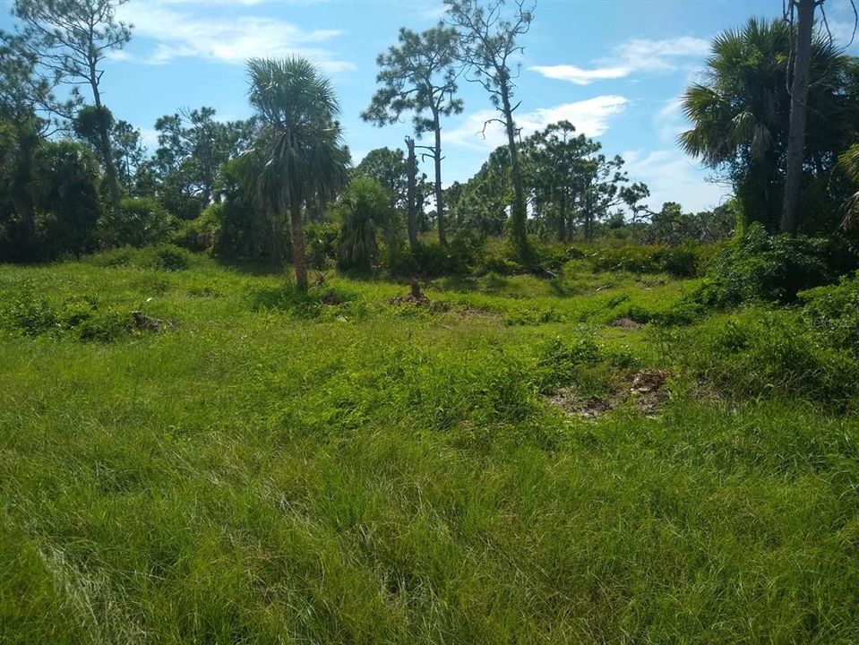 En Venta: $25,000 (0.20 acres)