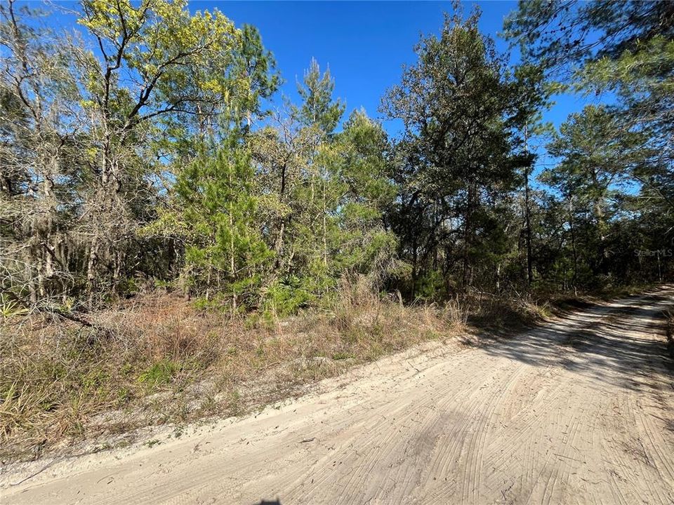 Active With Contract: $8,000 (0.31 acres)