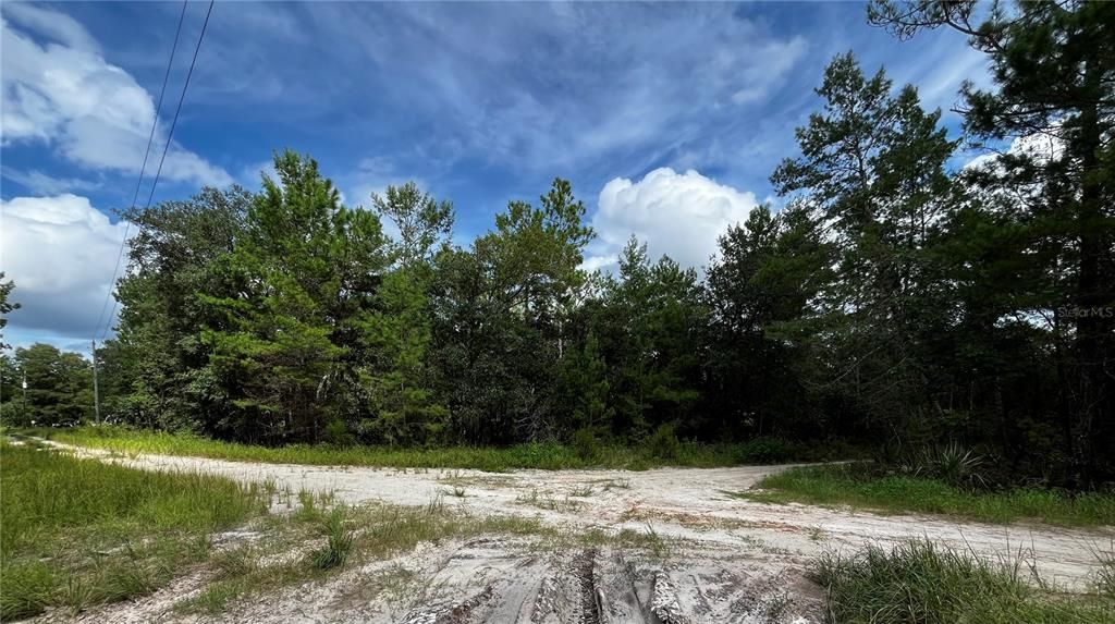 For Sale: $22,900 (0.31 acres)