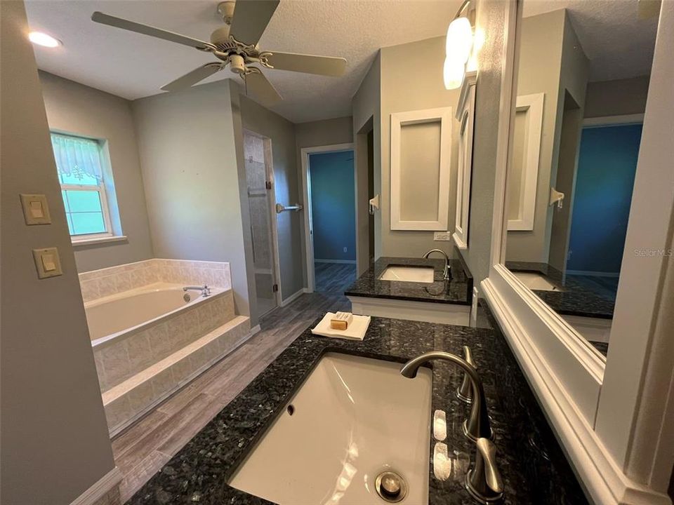 Master Bath 2