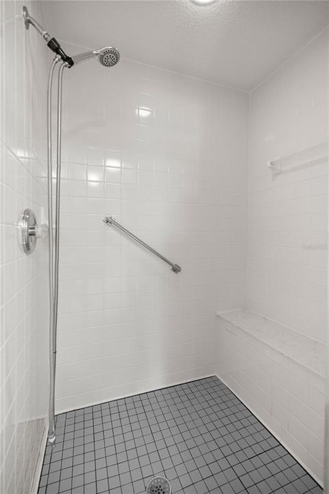 Master Bathroom Shower