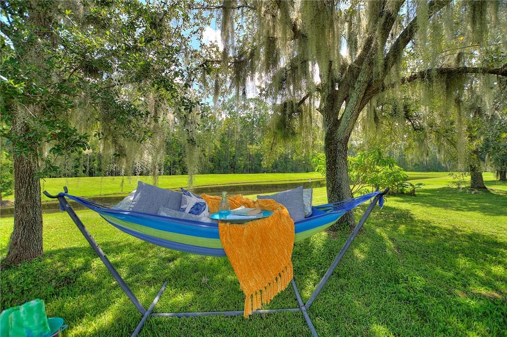 Hammock under the Oaks