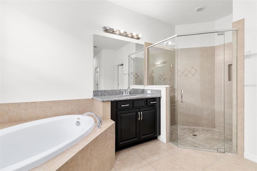 Master tub and shower