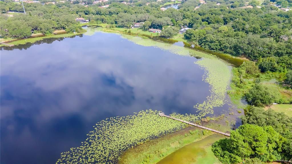 Lake Chapman Aerial Views