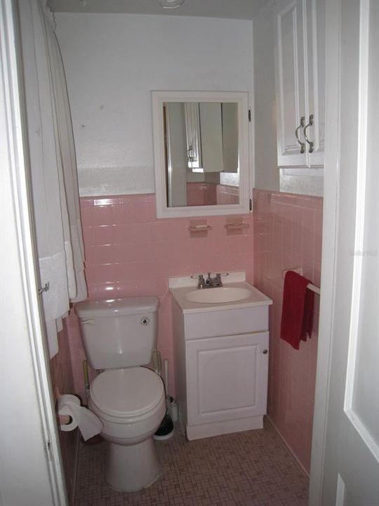 Downstairs En Suite Bathroom