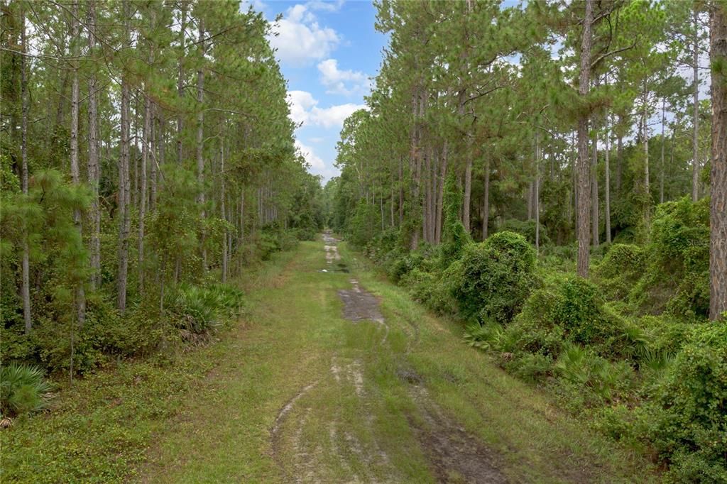 For Sale: $17,500 (0.22 acres)