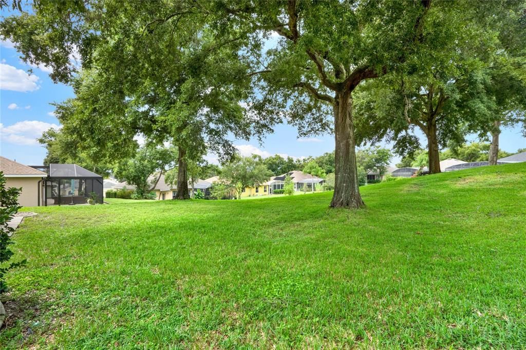 The expansive yard provides enhanced privacy and a greater sense of separation from neighboring homes.