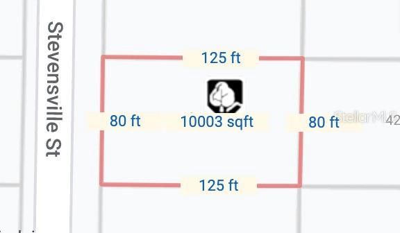 Dimensions of 426 Stevensville St