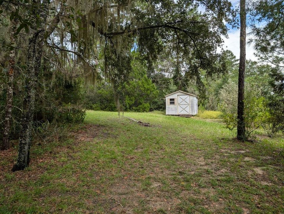 Shed in the back yard