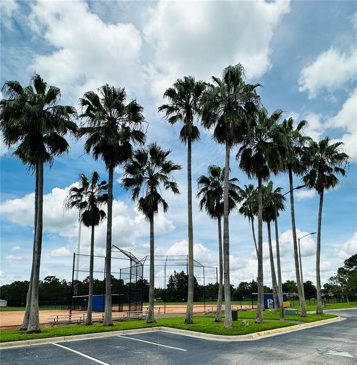 Baseball fields