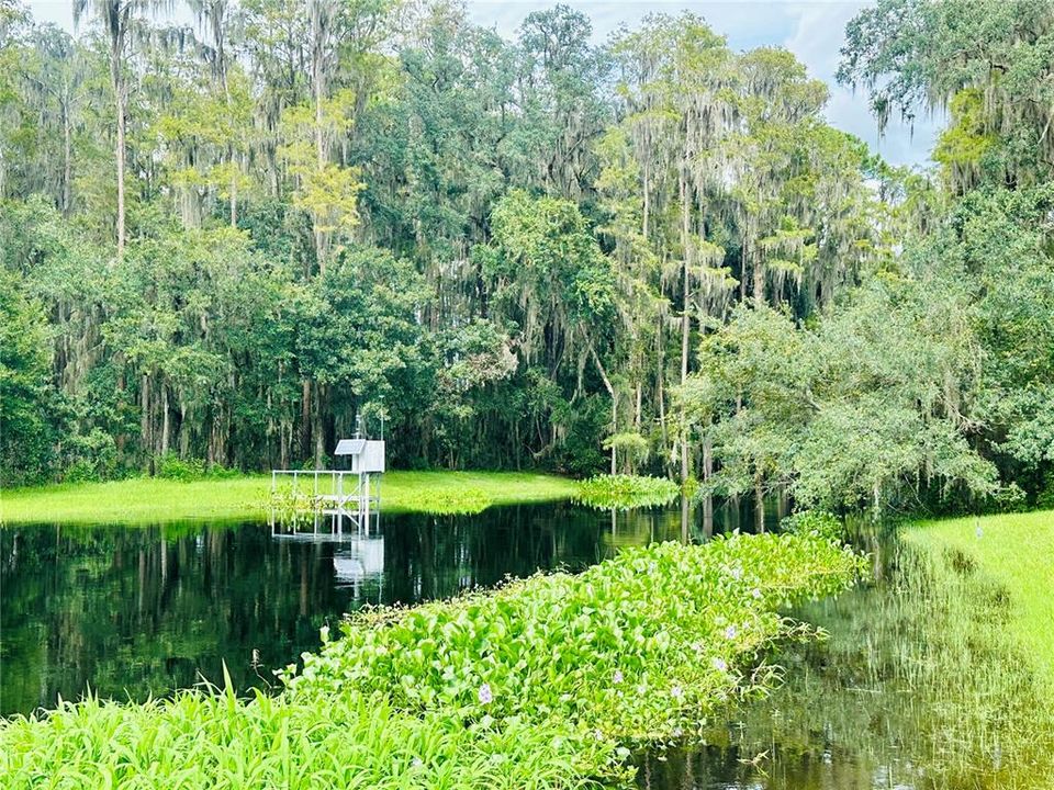 Shingle Creek - connected to W. Lake Toho