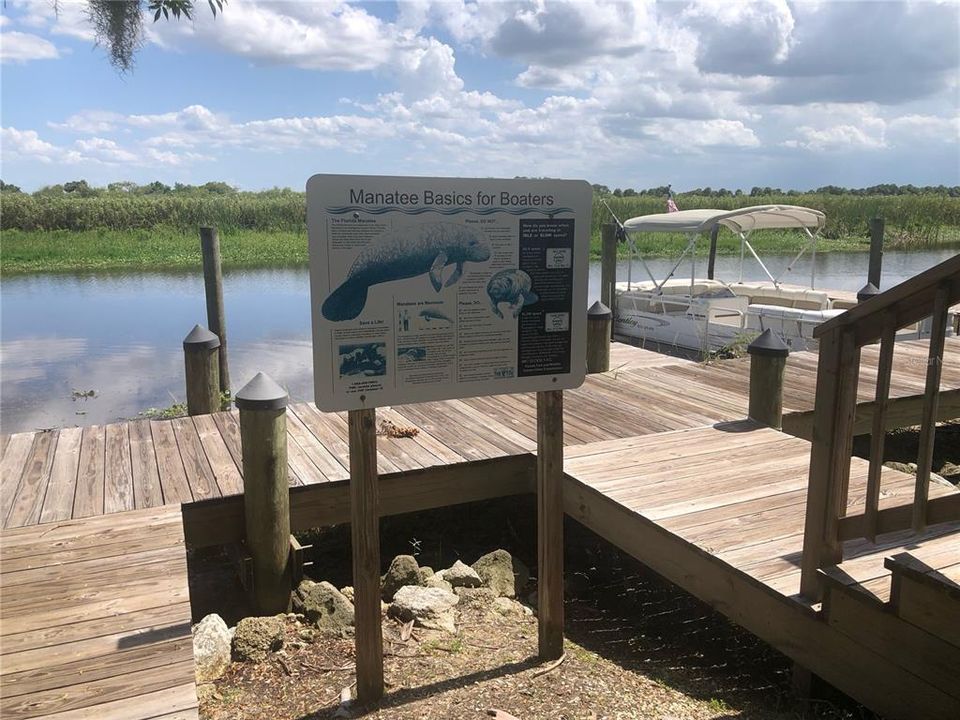 WATCH OUT FOR THE MANATEES