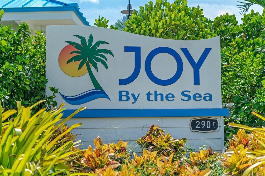 Joy By the Sea