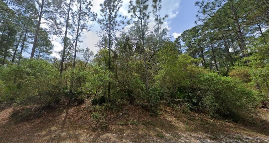 En Venta: $10,500 (0.23 acres)