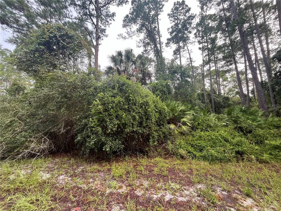 En Venta: $10,900 (0.23 acres)