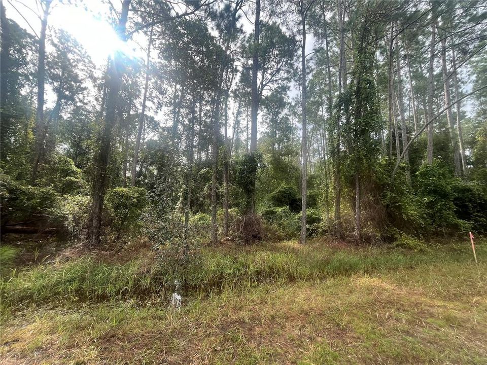 En Venta: $11,900 (0.23 acres)