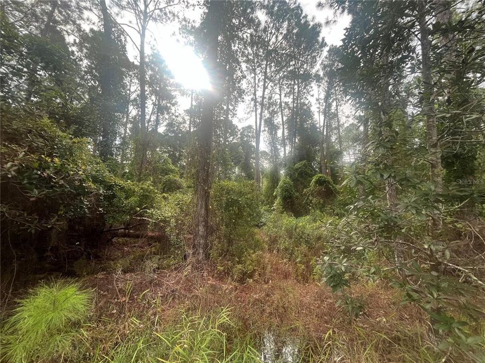 En Venta: $11,900 (0.23 acres)