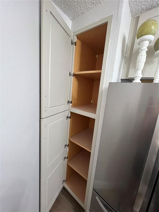 Kitchen Pantry