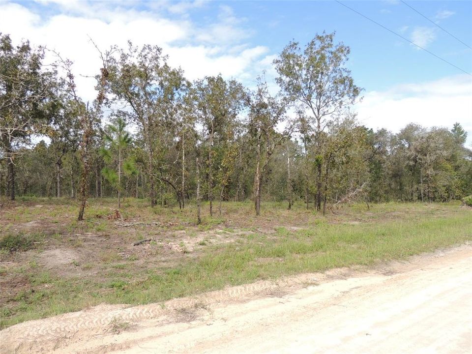 For Sale: $22,000 (1.25 acres)